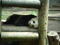 April2008 111